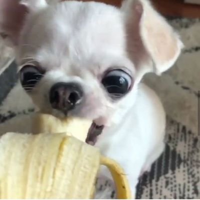 Sooyaさんのプロフィール画像