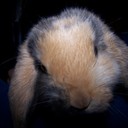 Marta Valdés - @marta_vm84 - Twitter