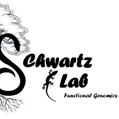 We are a Functional and Ecological Genomics research lab at Auburn University. Our principal investigator is Dr. Tonia S. Schwartz.