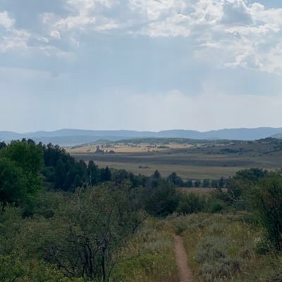 kulmannlsu's profile picture. 