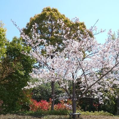 p_p_forever's profile picture. 最近プログラミングの勉強を始めました！
プログラミングの知識はあまりありませんが、よろしくお願いします！
現在、C言語を学習中です。
多忙につき、返信遅いことあります。