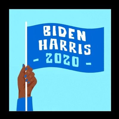 #TeamBiden #VoteBlueToSaveAmerica 💙 #BLM @uotgo #FBR