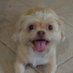 Maggie and De Kats (@luvpug25) Twitter profile photo Maggie and De Kats (@luvpug25) Twitter profile photo