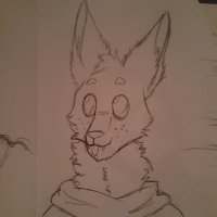 Fox Warefox π (@foxwarefox) 's Twitter Profile