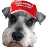 RealTrump2020_'s profile picture. Fight!  Fight!  Fight!