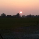 avril ryan - @avbulous - Twitter