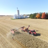 Ian Matheson (@rmmathesonfarms) 's Twitter Profile Photo Ian Matheson (@rmmathesonfarms) 's Twitter Profile Photo