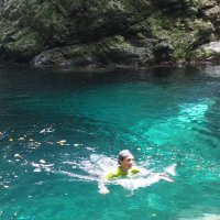 Kosuke Mitarai (@kosuke_mitarai) 's Twitter Profile