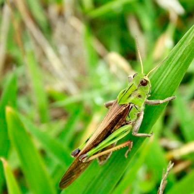 larbakium's profile picture. 