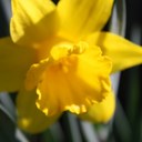 Thomas Breese - @tootoothomas - Twitter