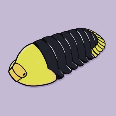 isopods🏳️‍🌈さんのプロフィール画像