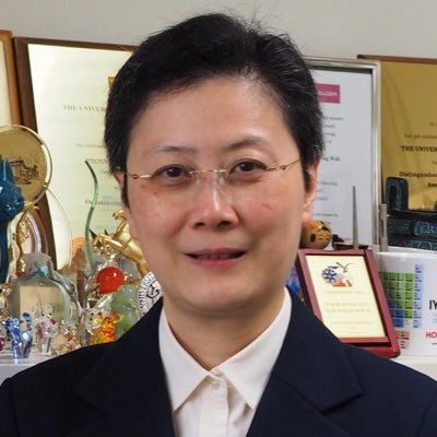 Chair Professor of Chemistry @HKU