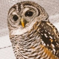 ใใใ๐ (@mofumozu0122) 's Twitter Profile Photo ใใใ๐ (@mofumozu0122) 's Twitter Profile Photo