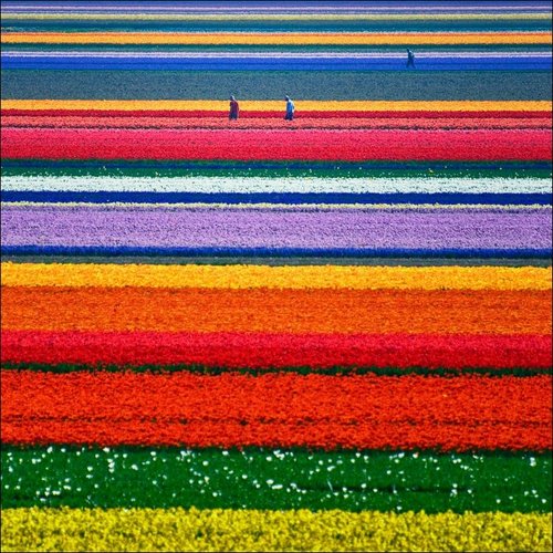 kadyelle's profile picture. 