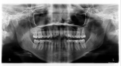 wordwasgod's profile picture. I am an old, educated woman and received the equivalent of Phi Beta Kappa in the field I chose -I am interested in the truth -am a Christian, nuff said.