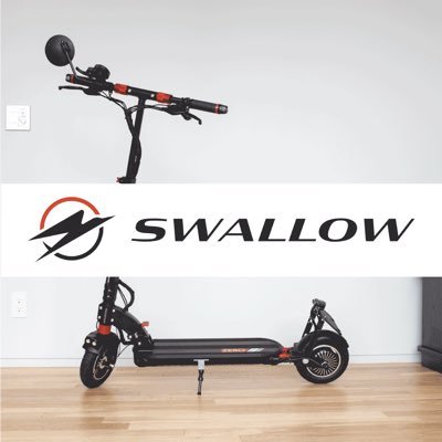 swallow_scooter Profile Picture