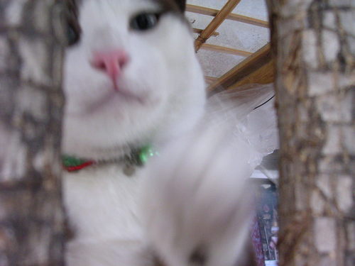 GobPrasertsri's profile picture. 