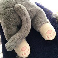 ぎそり (@guitholic) 's Twitter Profile