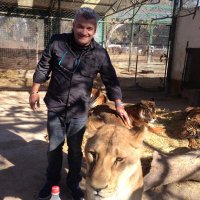 alexander ventura de campos (@alexand88276536) 's Twitter Profile