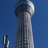 黄金 (@7dhig3urldwc2ng) 's Twitter Profile