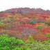 Chairman Mugumbo๐ฟ๐ผ (@mugumbora) Twitter profile photo Chairman Mugumbo๐ฟ๐ผ (@mugumbora) Twitter profile photo