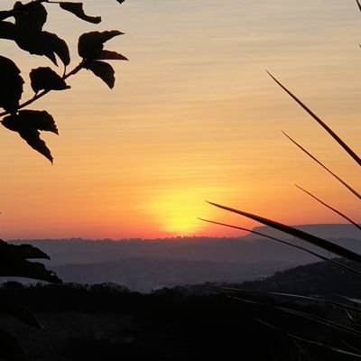 Lost_BeingFound's profile picture. 