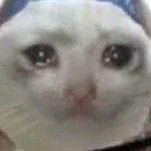 0000_PP_0000's profile picture. 