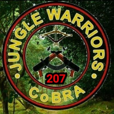 No Hills or Jungles are safe for the Anti National Elements. Official account of the Jungle Warriors of CRPF's CoBRA🇮🇳207BN. WARRIORS HEAVEN! TWO ZERO SEVEN!!