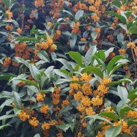 はせマのり (@hs88nori15) Twitter profile photo