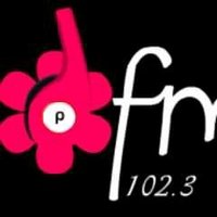 Petals Fm(@Petals_radio) 's Twitter Profileg