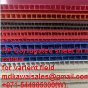 MDSolution4's profile picture. I Mayur Patel Lives in a Dubai.