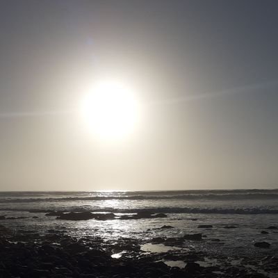 XrelateableA's profile picture. just expressing myself ig