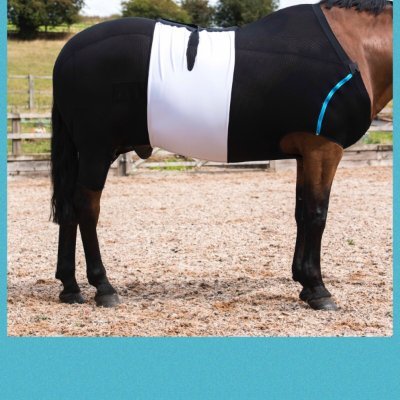 Combining experience in elite sports medicine, innovation, research and veterinary medicine to create compression body bandages and recovery suits.