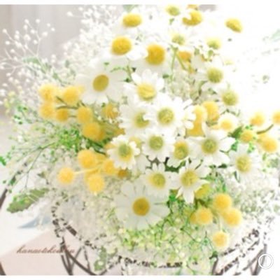 loiBleu8's profile picture. 趣味でヴァイオリンをやっています。美しいものが 大好きです oboe DM対応していません