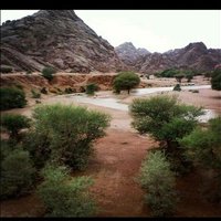 خالد (@kaled4694) 's Twitter Profile