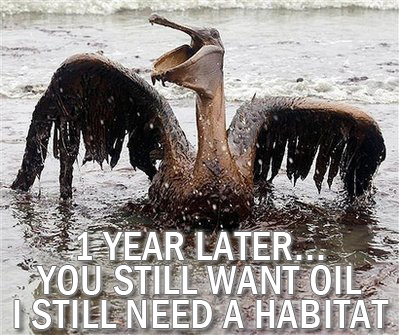 Don't Forget The Devastation B.P. And Off Shore Drilling Caused America And The World! Drilling In Our Waters Kills Mother Nature, Don't Allow More Drilling!!!
