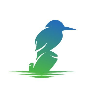 kingfisher_btc Profile Picture