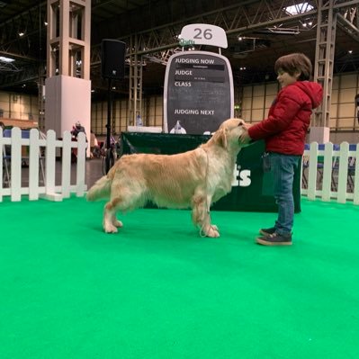 👨‍💻fectum mens in corpore judoka 🥋 ocasionally breeding 🐕 golden retriever in family 👨‍👩‍👦‍👦 and love ❤️