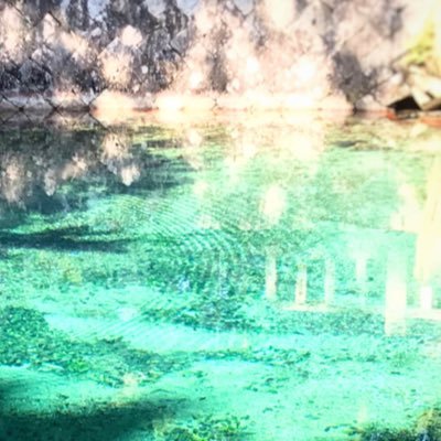 しあんさんのプロフィール画像