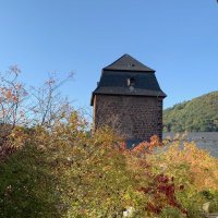 Rebekka Weinel (@_rweinel) Twitter profile photo