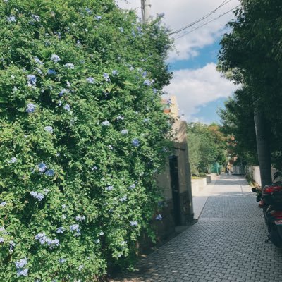YmirfVI7brGmCEE's profile picture. 20↑ 基本見てるだけです