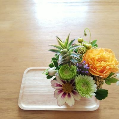 lecocon's profile picture. 