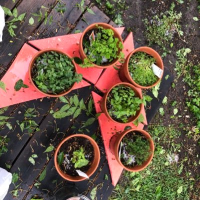 dev_snowdog's profile picture. I'm a Front-end dev. Next/ React/ Typescript らへんを触ってます。