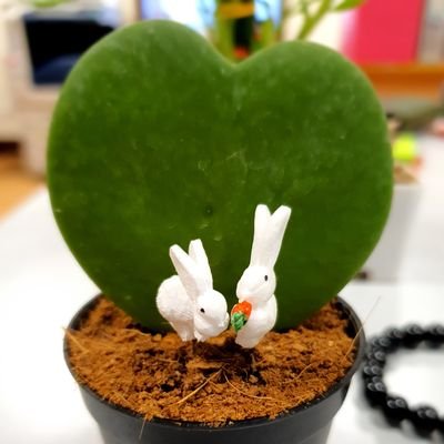 mさんのプロフィール画像