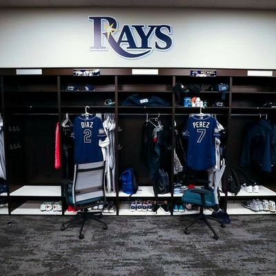 raysfan66's profile picture. 