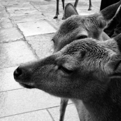 PrHgx4's profile picture. 💎