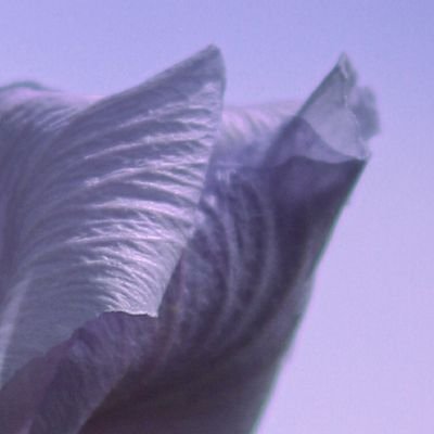 M17_317's profile picture. 졍구 / 메이크업 작업물 업로드용 계정 / 알림🔕 / 작업물 사진 참고용으로 사용하지 말아주세요 / 당분간 정규오더는 받지 않습니다