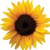 Summer Gardens Childcare (@summer_gardens) Twitter profile photo Summer Gardens Childcare (@summer_gardens) Twitter profile photo