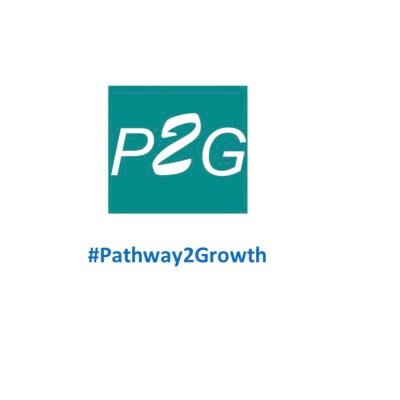 Advisory, training, and mentoring programme for business leaders/owner managers covering; new start/early stage - transition to growth - growth/high growth