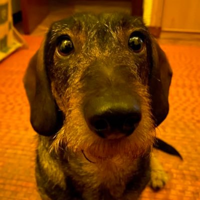 DianaCS_'s profile picture. 